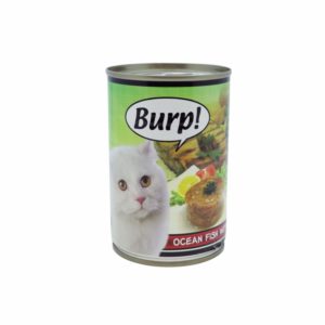 Burp! | Ocean Fish with Aloe in Jelly 368g