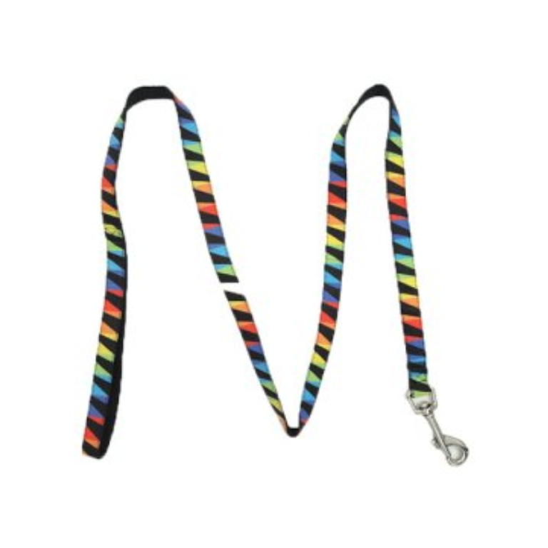 Trustie | Symmetrical Rainbow Dog Leash