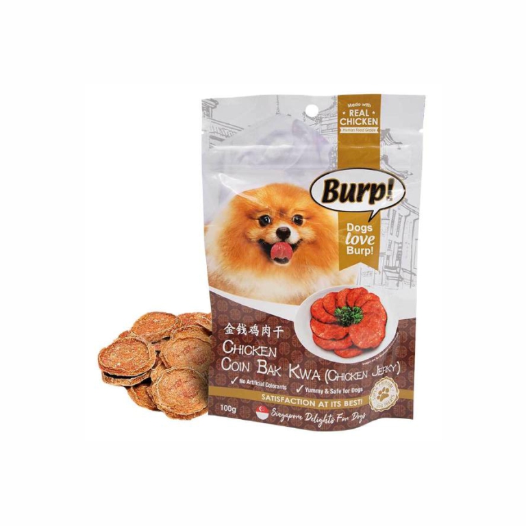 Burp! | Singapore Delight Chicken Coin Bak Kwa 100g